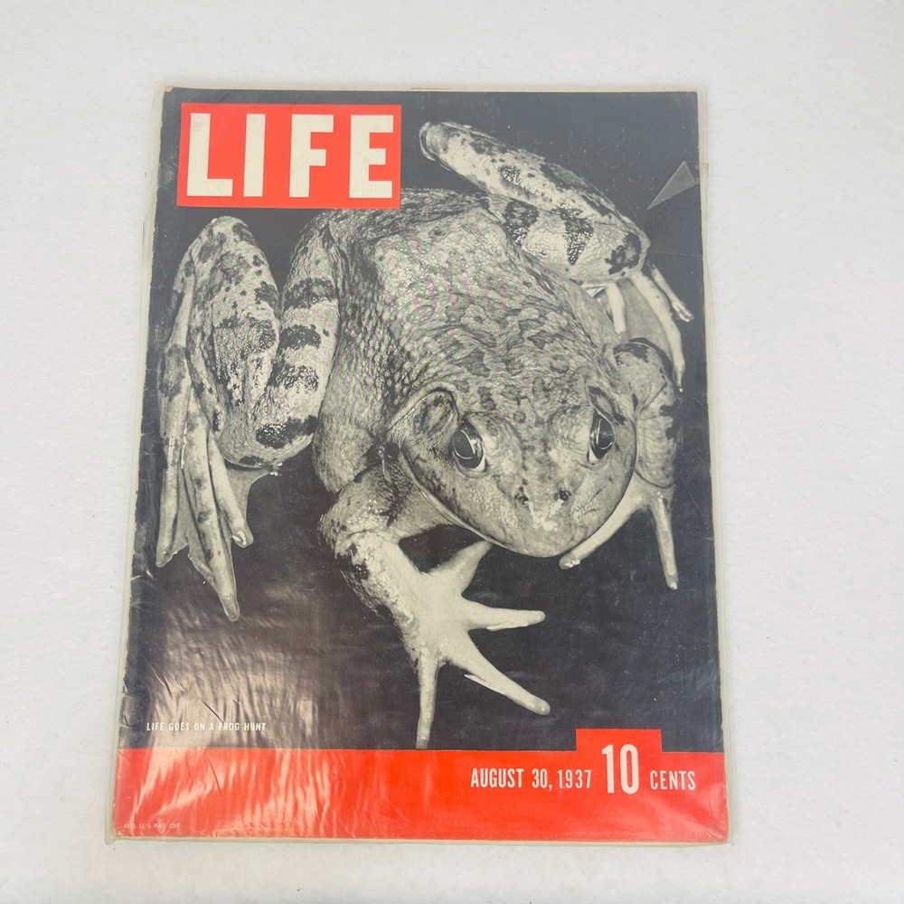 Vintage LIFE Magazine August 30 1937 Frog Hunt Cover Retro Ads 1930s Americana